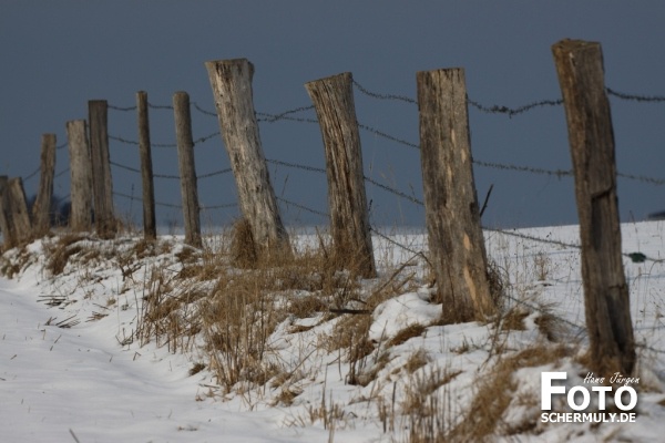 Niederbrechen im Winter