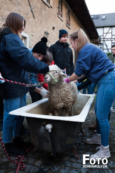 2019.10.10_The best of Hammelwaschen KB 2019 Niederbrechen (26 von 106)