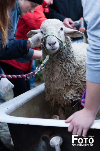 2019.10.10_The best of Hammelwaschen KB 2019 Niederbrechen (29 von 106)
