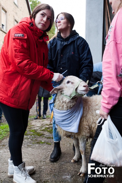 2019.10.10_The best of Hammelwaschen KB 2019 Niederbrechen (45 von 106)