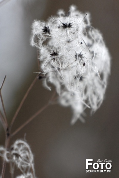 Niederbrechen im Winter