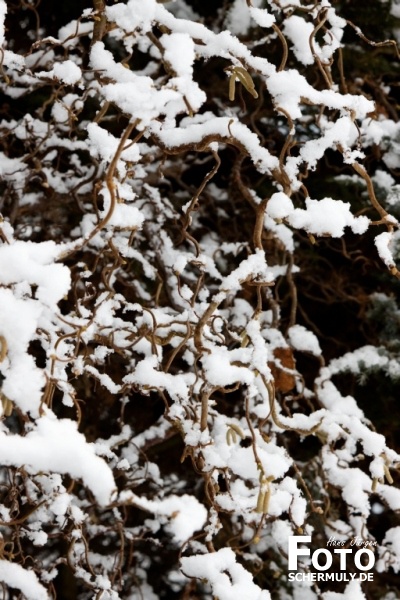 Niederbrechen im Winter