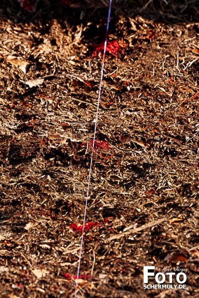 2022.03.19_1250 Baum-Pfanzaktion in Oberbrechen (8 von 157)