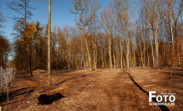 2022.03.19_1250 Baum-Pfanzaktion in Oberbrechen (9 von 157)