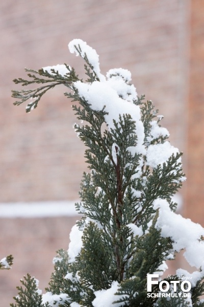 Niederbrechen im Winter